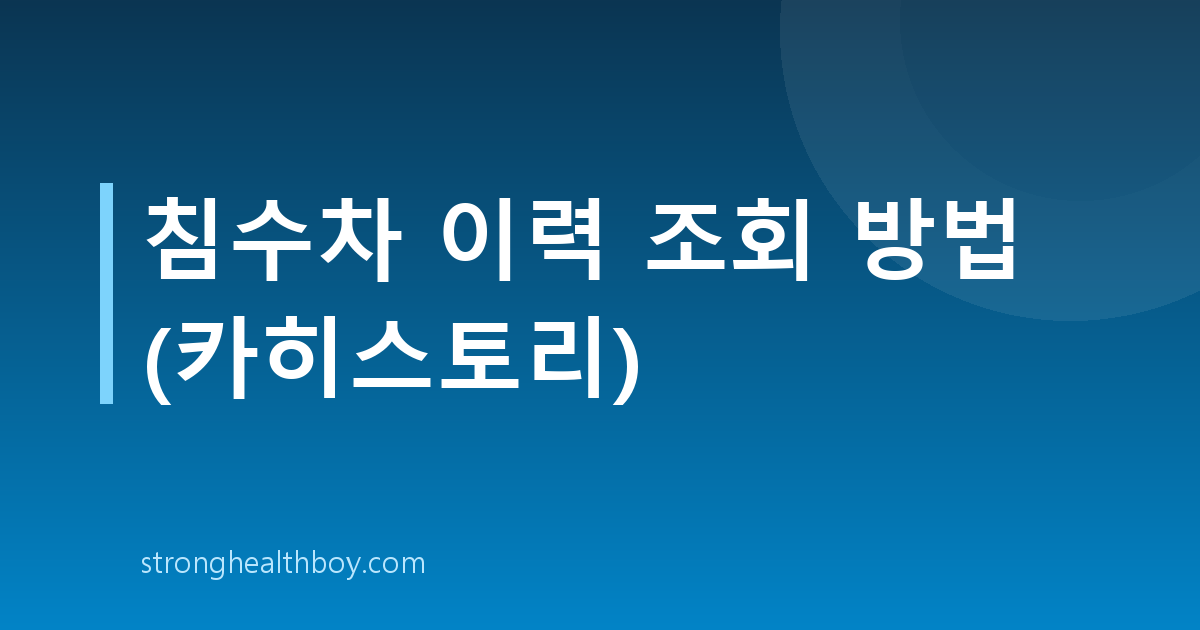 침수차 이력 조회 방법 (카히스토리)