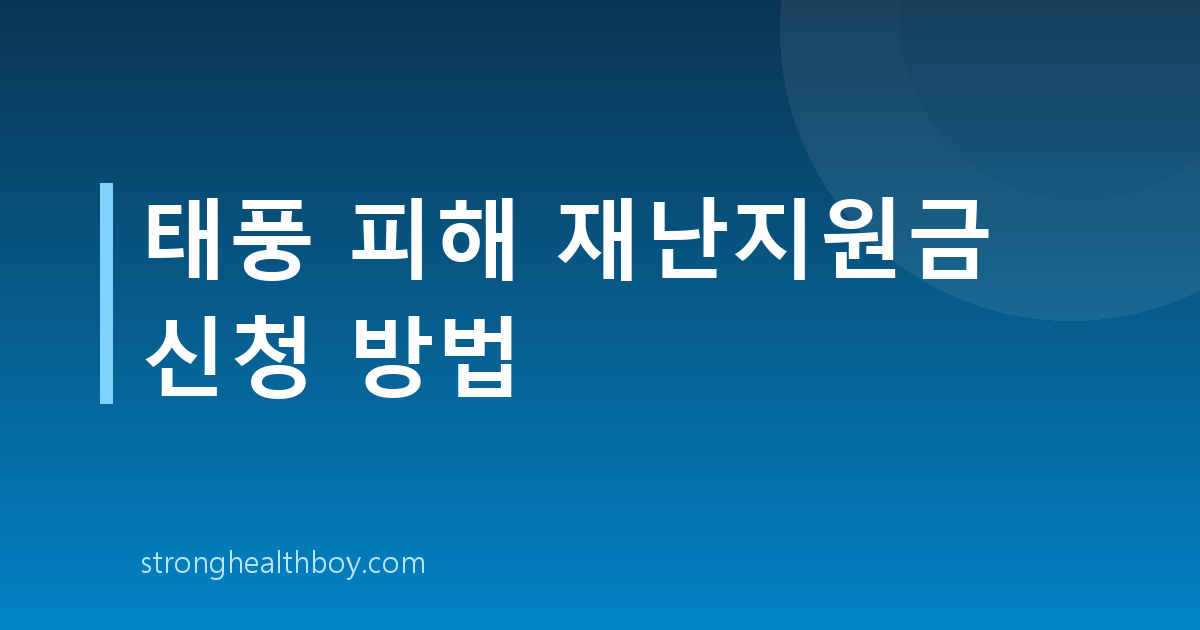 태풍 피해 재난지원금 신청 방법