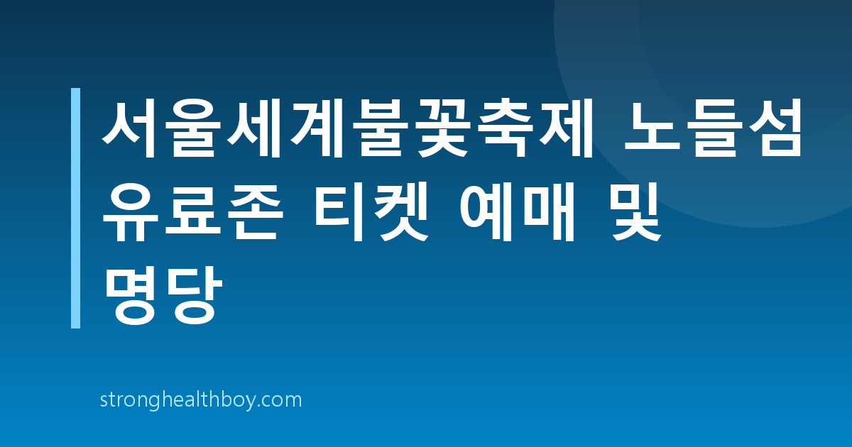 서울세계불꽃축제 노들섬 유료존 티켓 예매 및 명당