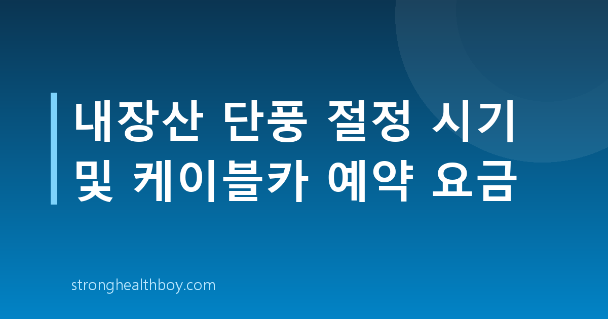 내장산 단풍 절정 시기 및 케이블카 예약 요금