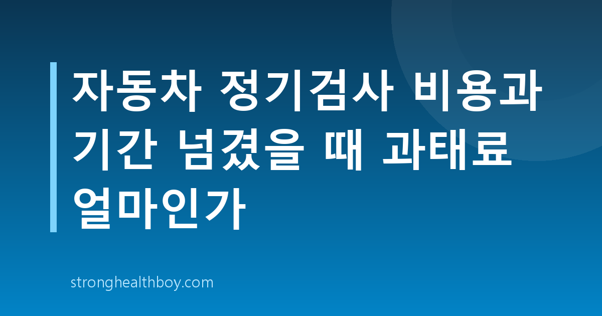 자동차 정기검사 비용과 기간 넘겼을 때 과태료 얼마인가