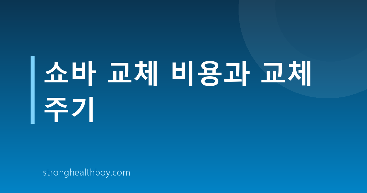 쇼바 교체 비용과 교체 주기